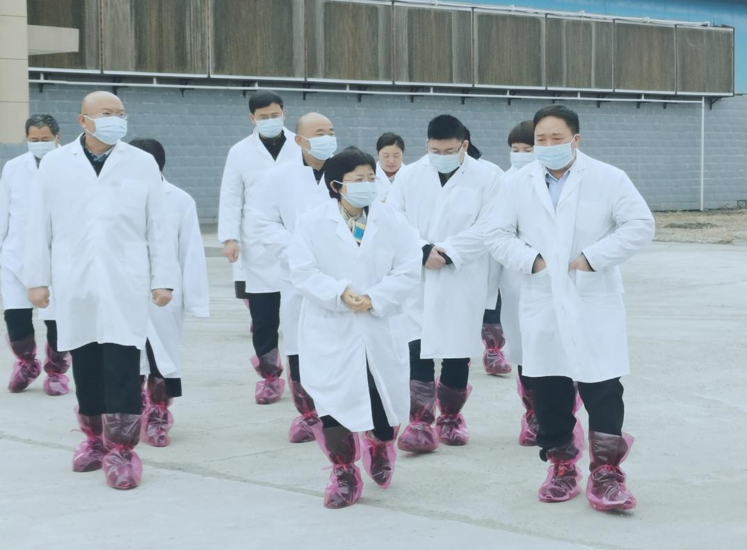 河南省鄭州市人民政府副市長李鳳芝一行蒞臨花花牛河南瑞亞參觀調研