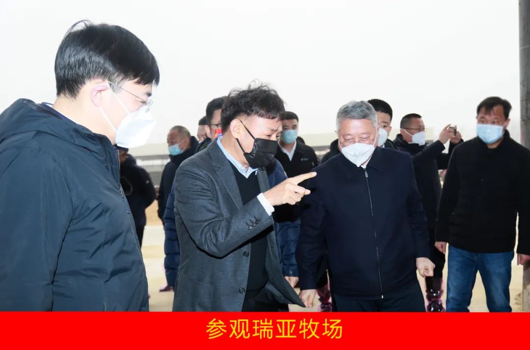 新年開(kāi)新局 合作促發(fā)展丨佳木斯市委常委、副市長(zhǎng)閆志剛一行蒞臨花花牛乳業(yè)集團(tuán)及佳田企業(yè)考察座談