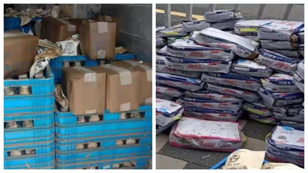 【乳報(bào)·聚焦】“豫”難而上的中原牛人“太中了”！