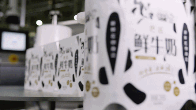 快訊 | 花花牛乳業(yè)集團(tuán)成為河南省食品工業(yè)協(xié)會(huì)食品質(zhì)量安全分會(huì)副會(huì)長單位