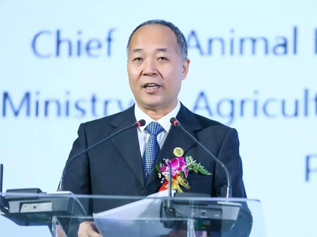 SDDDC走進(jìn)河南，看看花花牛的國際范兒！