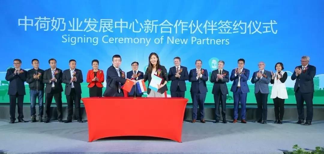 SDDDC走進(jìn)河南，看看花花牛的國際范兒！