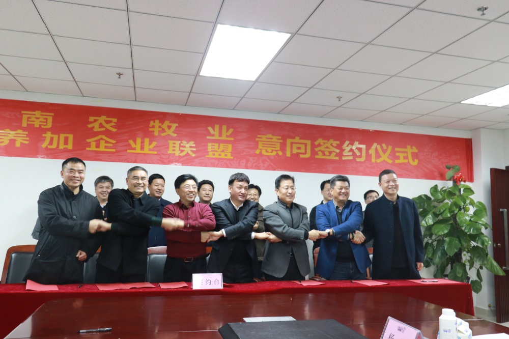涉農(nóng)企業(yè)強(qiáng)強(qiáng)聯(lián)合，“抱團(tuán)取暖”共迎企業(yè)發(fā)展的春天
